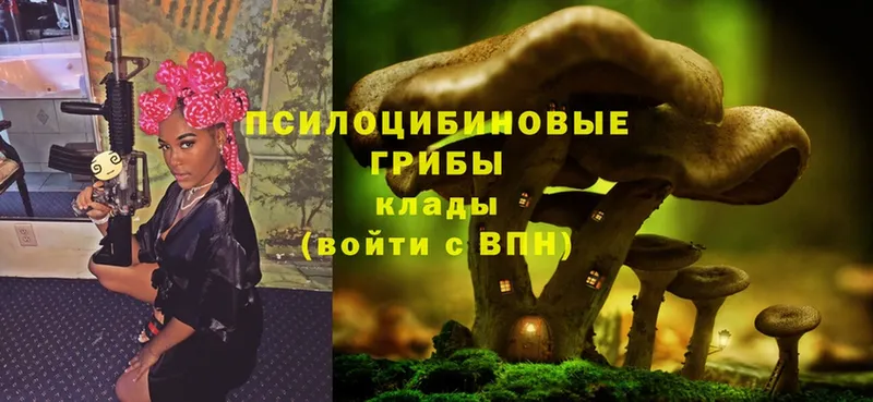 купить закладку  Демидов  Псилоцибиновые грибы MAGIC MUSHROOMS 